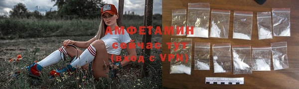 прущие грибы Белокуриха
