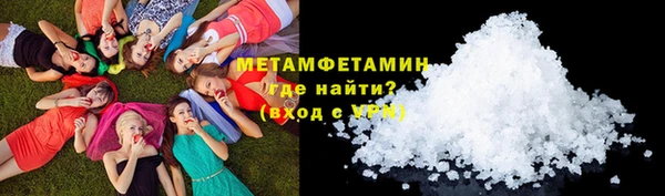 прущие грибы Белокуриха