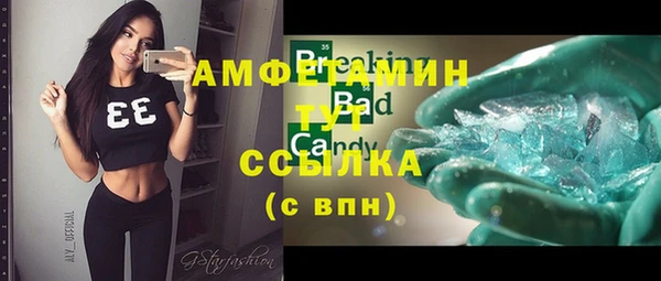 прущие грибы Белокуриха