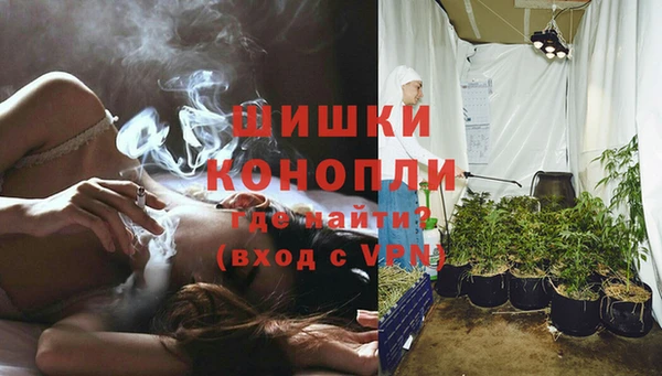 прущие грибы Белокуриха
