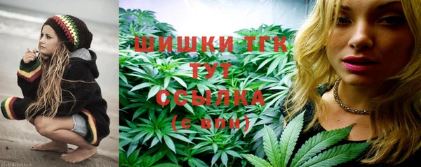 прущие грибы Белокуриха