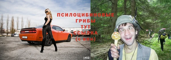 сатива Белоозёрский