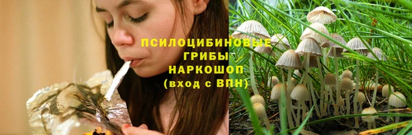 прущие грибы Белокуриха
