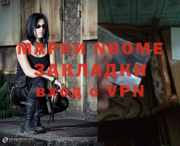 прущие грибы Белокуриха
