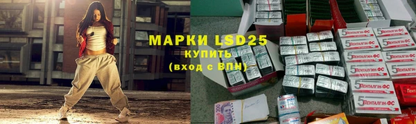 прущие грибы Белокуриха